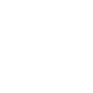 Carrier