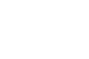 Vivotek